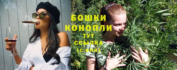 твердый Аркадак